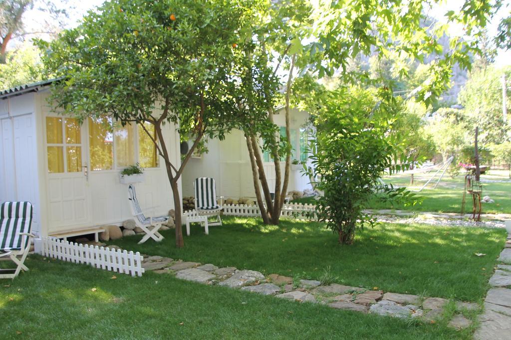 Çıralı Defne Pension חדר תמונה